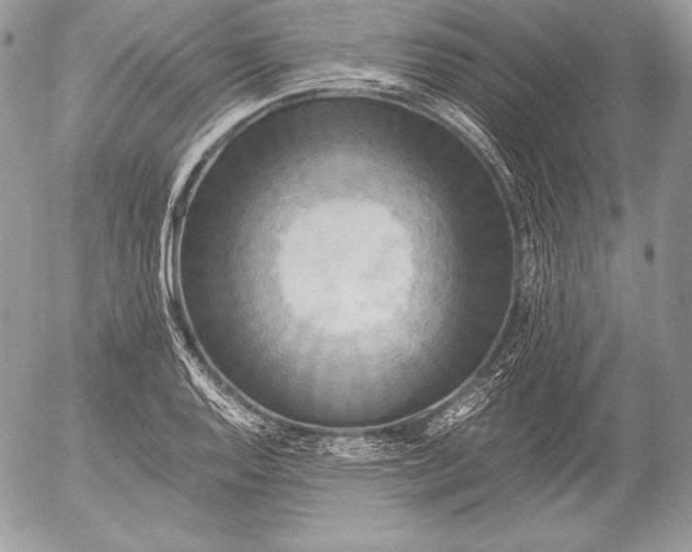 X0000052921128200507221049