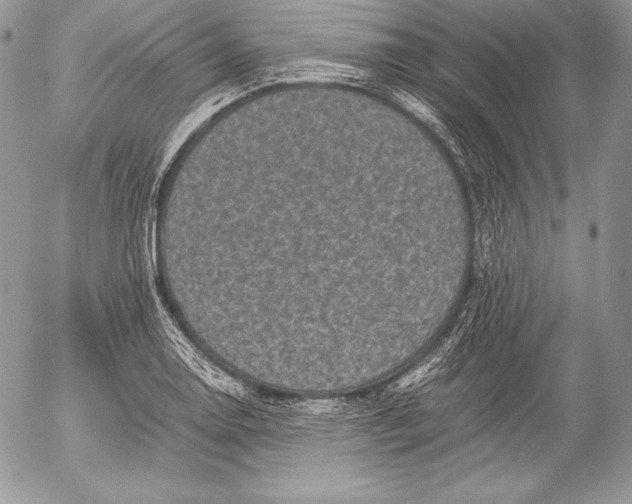 X0000052921130200507221049