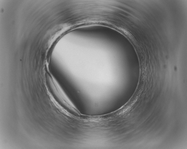 X0000052921134200507221049