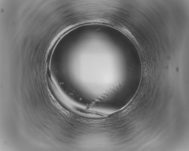 X0000052921140200507221050