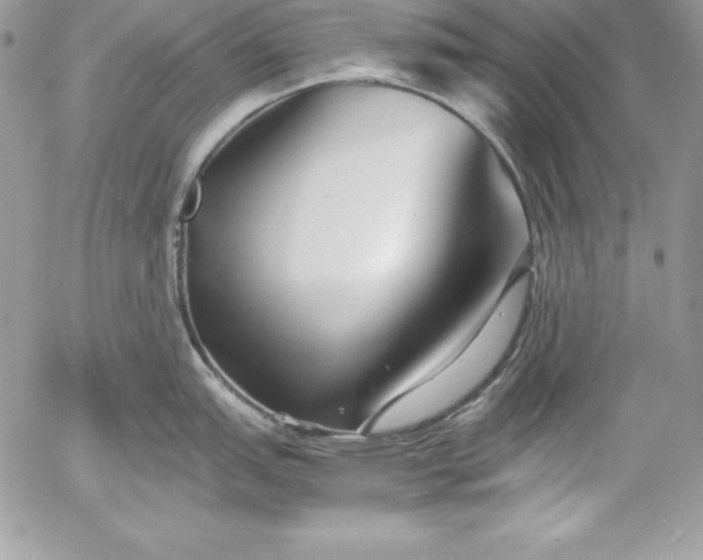 X0000052921151200507221050