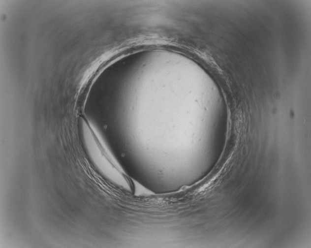 X0000052921167200507221049