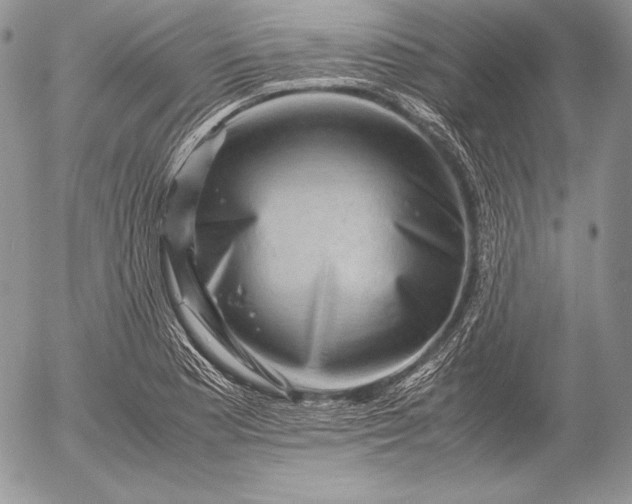 X0000052921177200507221049