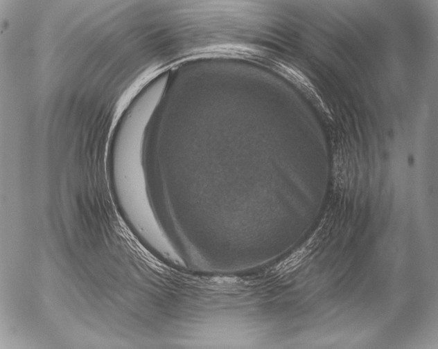 X0000052921180200507221049