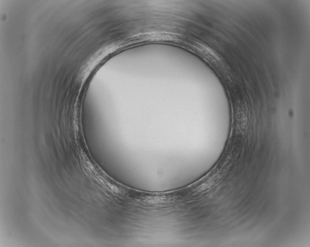 X0000052921182200507221049