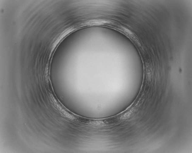 X0000052921186200507221048