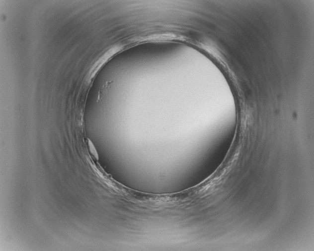X0000052921193200507221048