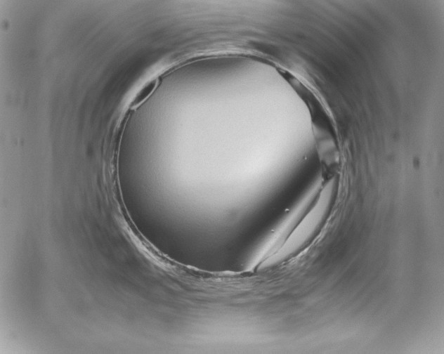 X0000052921197200507221048