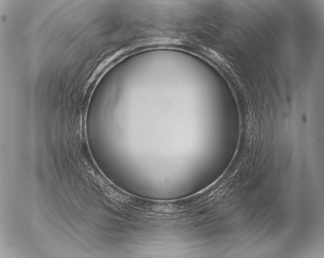 X0000052921220200507221048