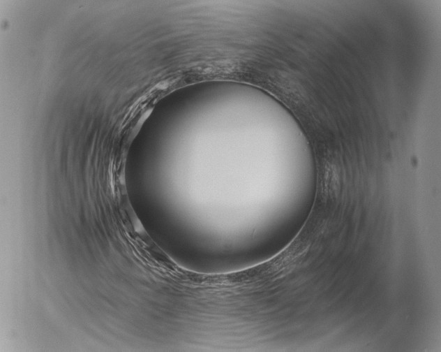 X0000052921250200507221047