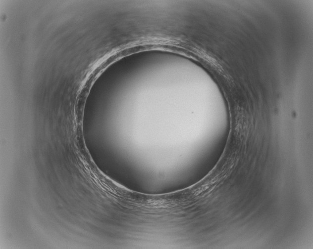 X0000052921264200507221047