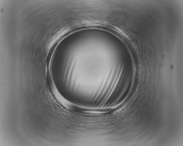 X0000052921269200507221047