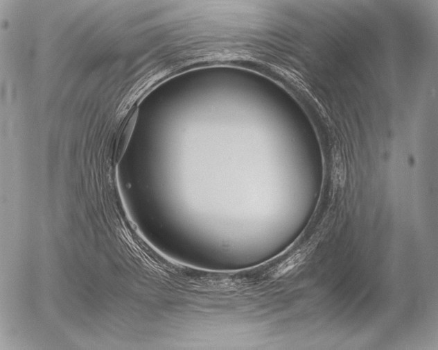 X0000052921273200507221047