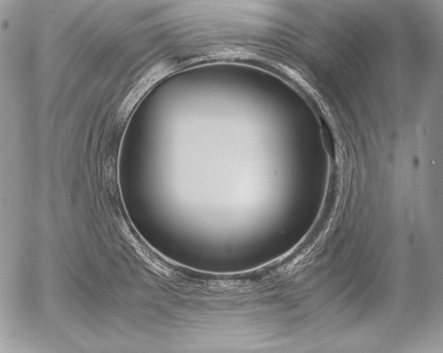 X0000052921281200507221047