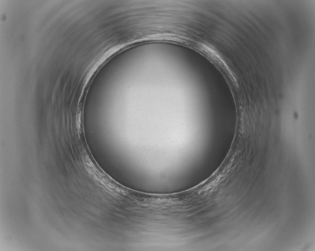 X0000052921284200507221047