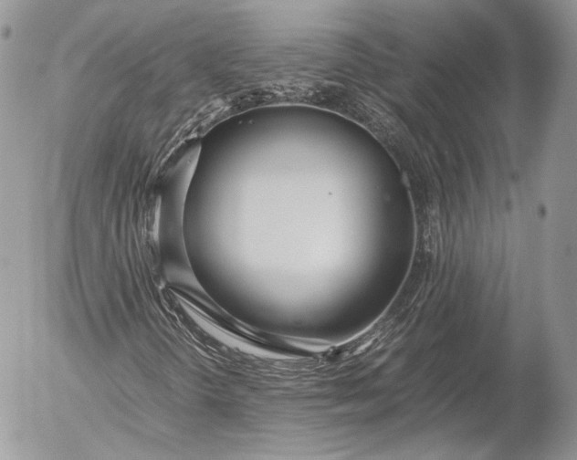 X0000052921298200507221046