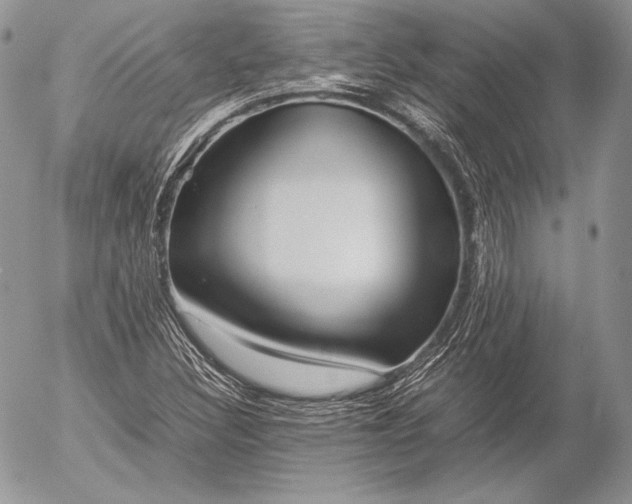 X0000052921308200507221046