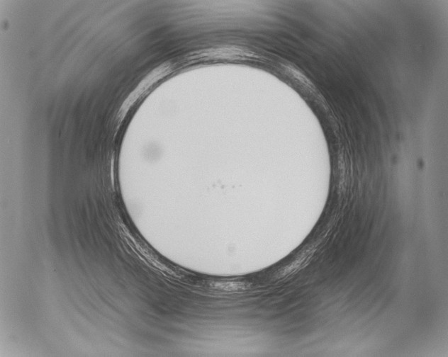 X0000052921322200507221046