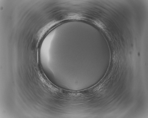 X0000052921323200507221046