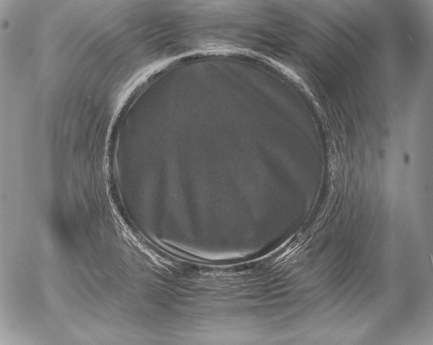 X0000052921327200507221046