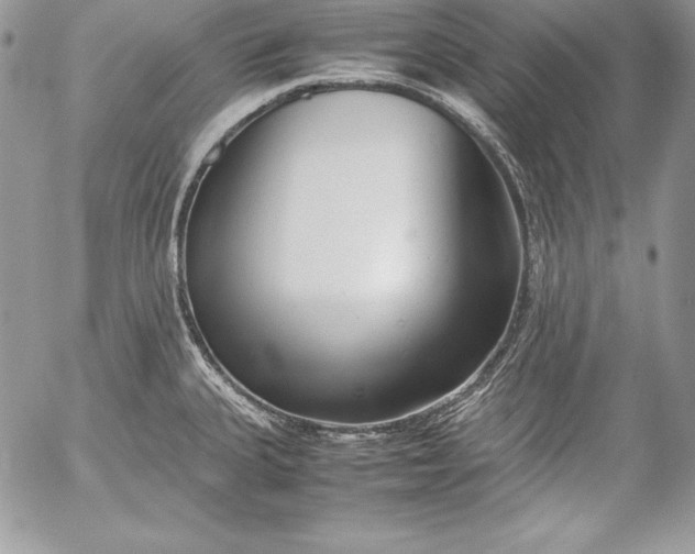 X0000052921335200507221046