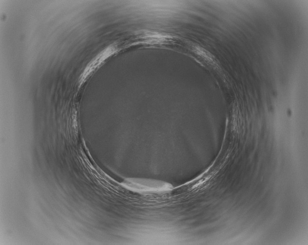 X0000052921362200507221046