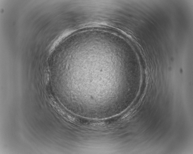 X0000052921363200507221046