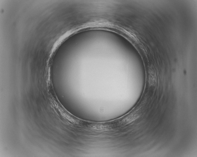 X0000052921366200507221046