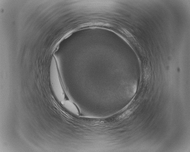 X0000052921369200507221045