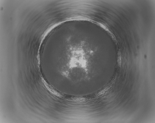X0000052921372200507221045