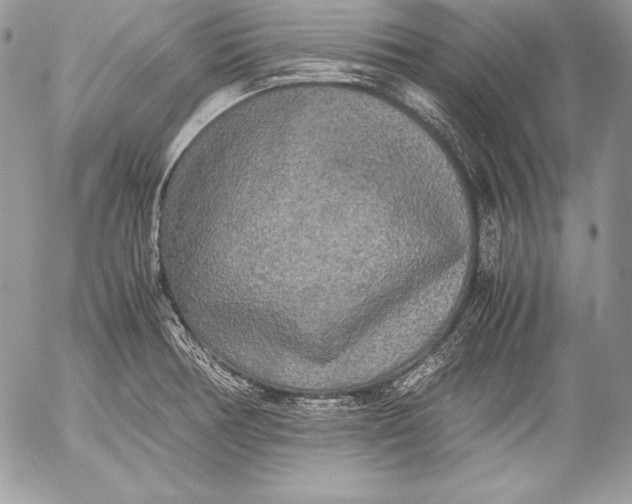 X0000052921378200507221045