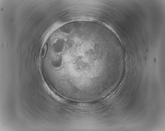 X0000052921379200507221045