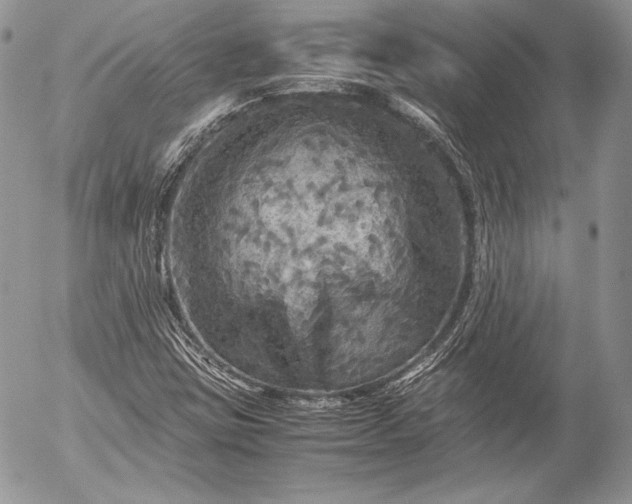 X0000052921403200507221044