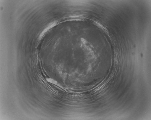 X0000052921411200507221045
