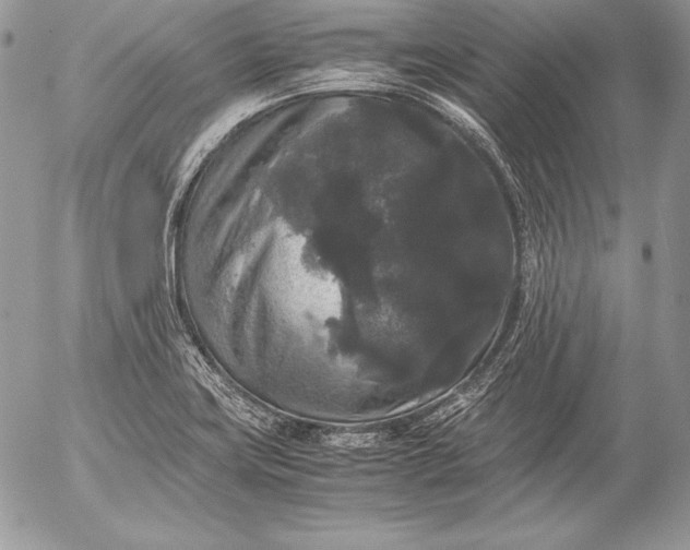 X0000052921419200507221045