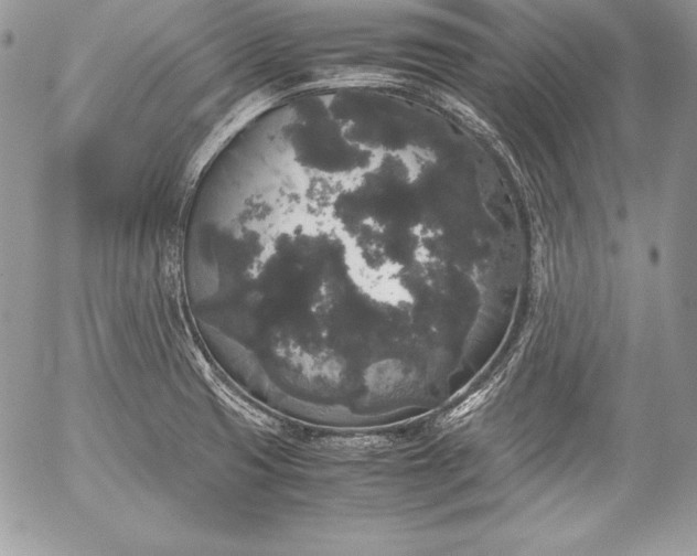 X0000052921425200507221045