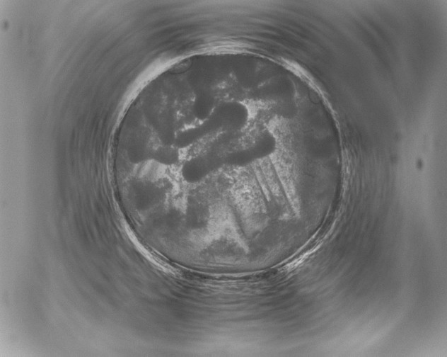 X0000052921429200507221045