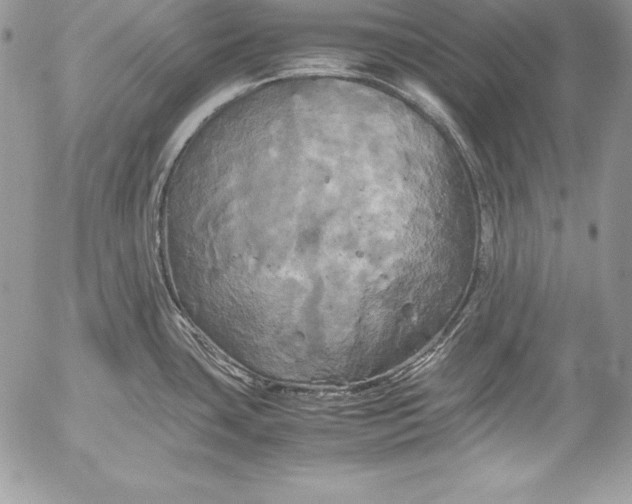 X0000052921435200507221045