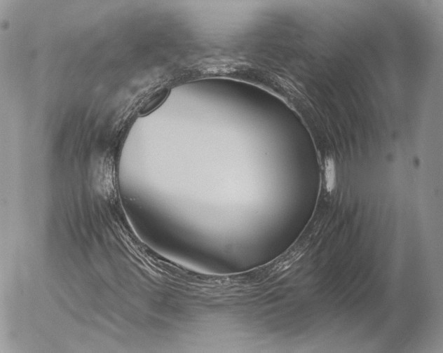 X0000052921444200507221044
