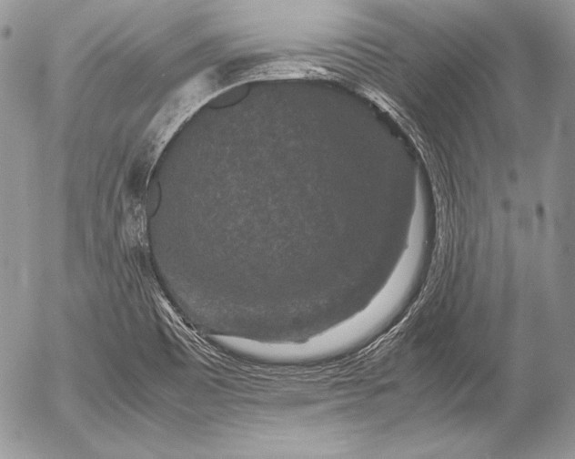 X0000052921465200507221044