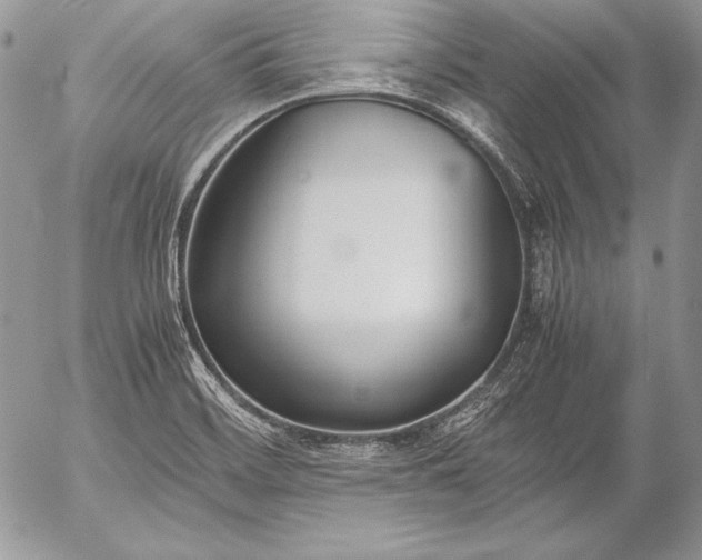 X0000052921468200507221044
