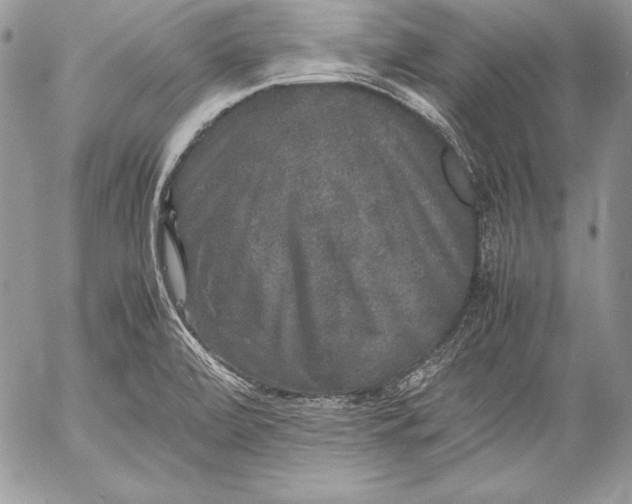 X0000052921472200507221044