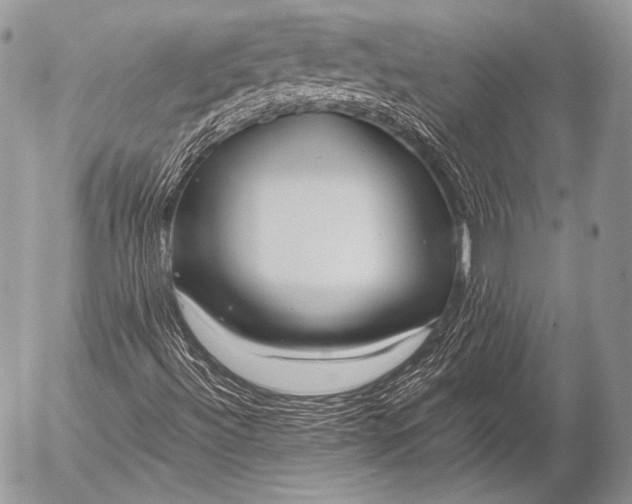 X0000052921492200507221043