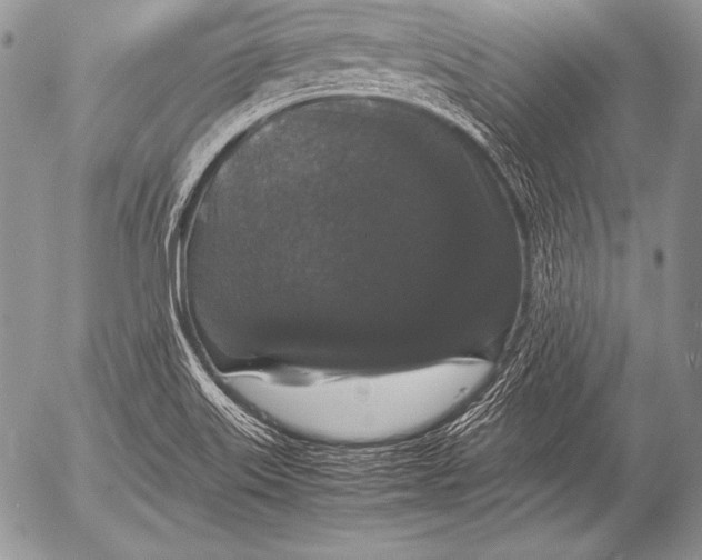 X0000052921515200507221043