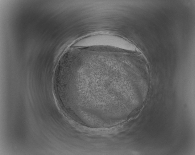 X0000052920001200507292338