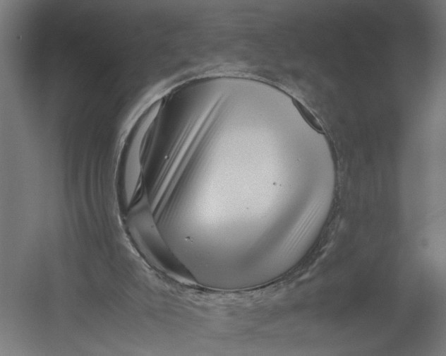X0000052920007200507292338