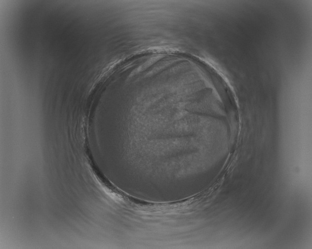 X0000052920009200507292338
