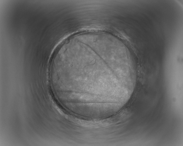 X0000052920012200507292338