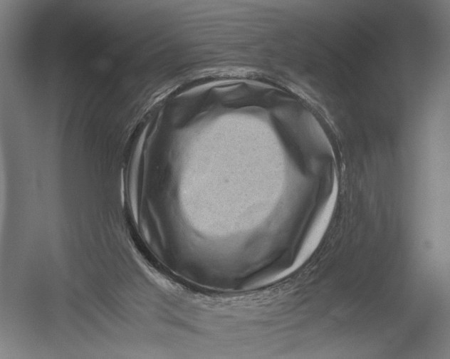 X0000052920013200507292338