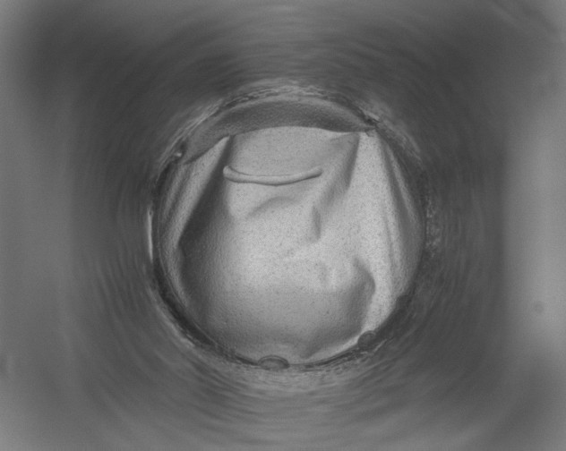 X0000052920014200507292338